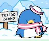 Tuxedosam in Antarctic Tuxedo Island with sign and warm scarf